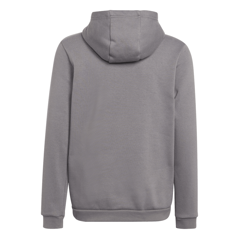 ADIDAS Entrada 22 Sweat Hoodie Kind (team grey four) - Back Center View