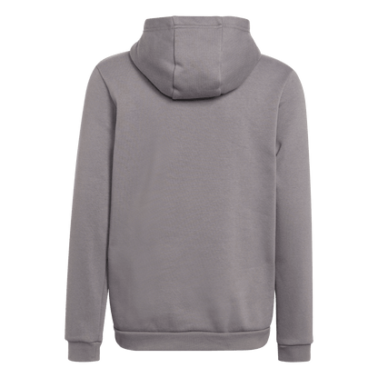 ADIDAS Entrada 22 Sweat Hoodie Kind (team grey four) - Back Center View