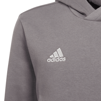 ADIDAS Entrada 22 Sweat Hoodie Kind (team grey four) - Detail View 1