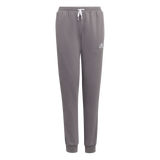 ADIDAS Entrada 22 Jogginghose Kind (team grey four) - Front View