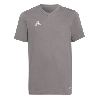 ADIDAS Entrada 22 T-Shirt Kind (team grey four) - Front Center View