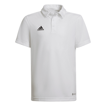 ADIDAS Entrada 22 Poloshirt Kind (white) - Front View