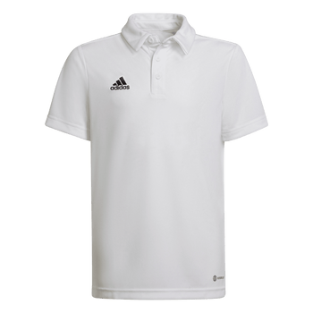 ADIDAS Entrada 22 Poloshirt Kind (white) - Front Center View