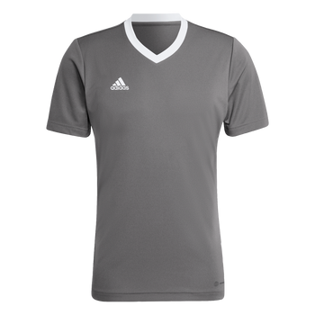 ADIDAS Entrada 22 Trikot Herren (team grey four) - Front View
