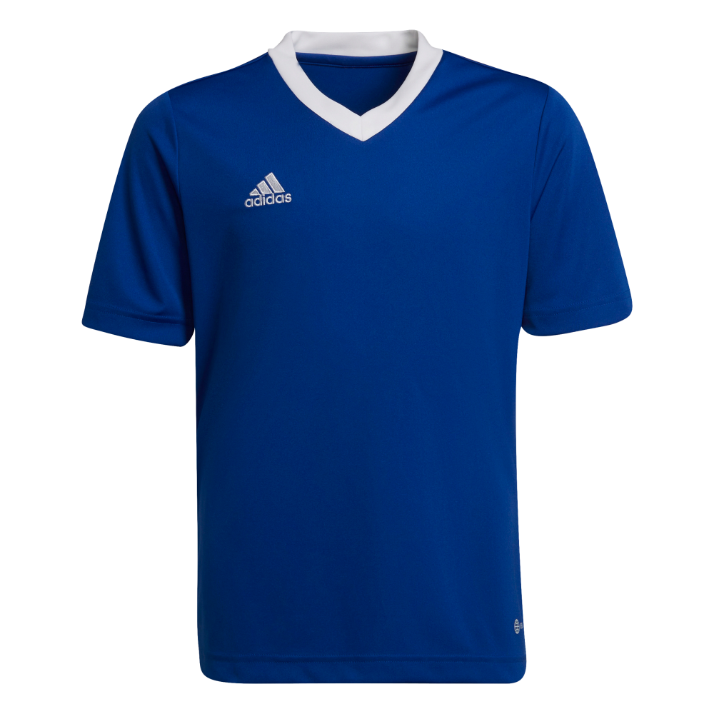 ADIDAS Entrada 22 Trikot Kind (team royal blue) - Front View
