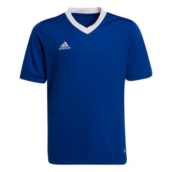 ADIDAS Entrada 22 Trikot Kind (team royal blue) - Front View