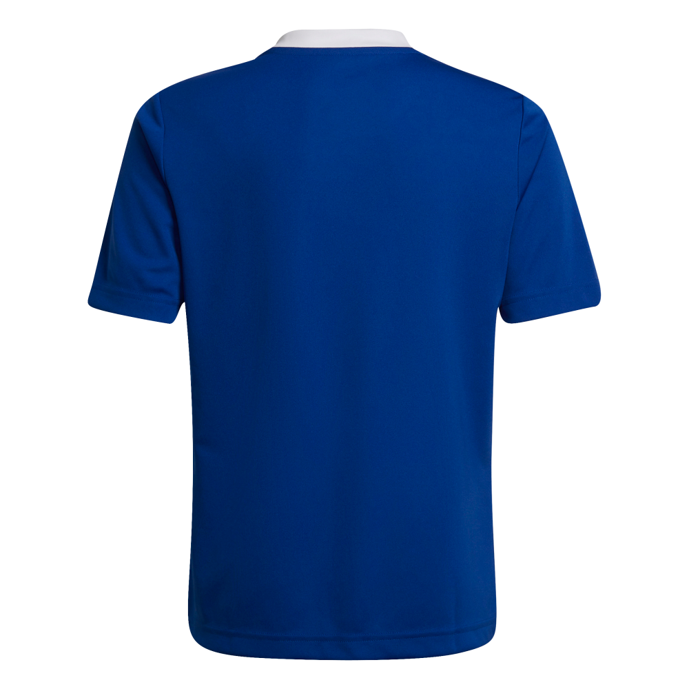 ADIDAS Entrada 22 Trikot Kind (team royal blue) - Back Center View