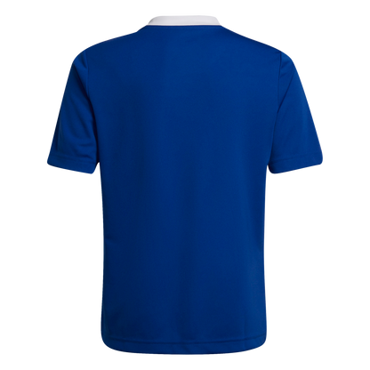 ADIDAS Entrada 22 Trikot Kind (team royal blue) - Back Center View