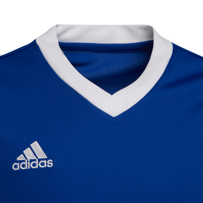 ADIDAS Entrada 22 Trikot Kind (team royal blue) - Detail View 3