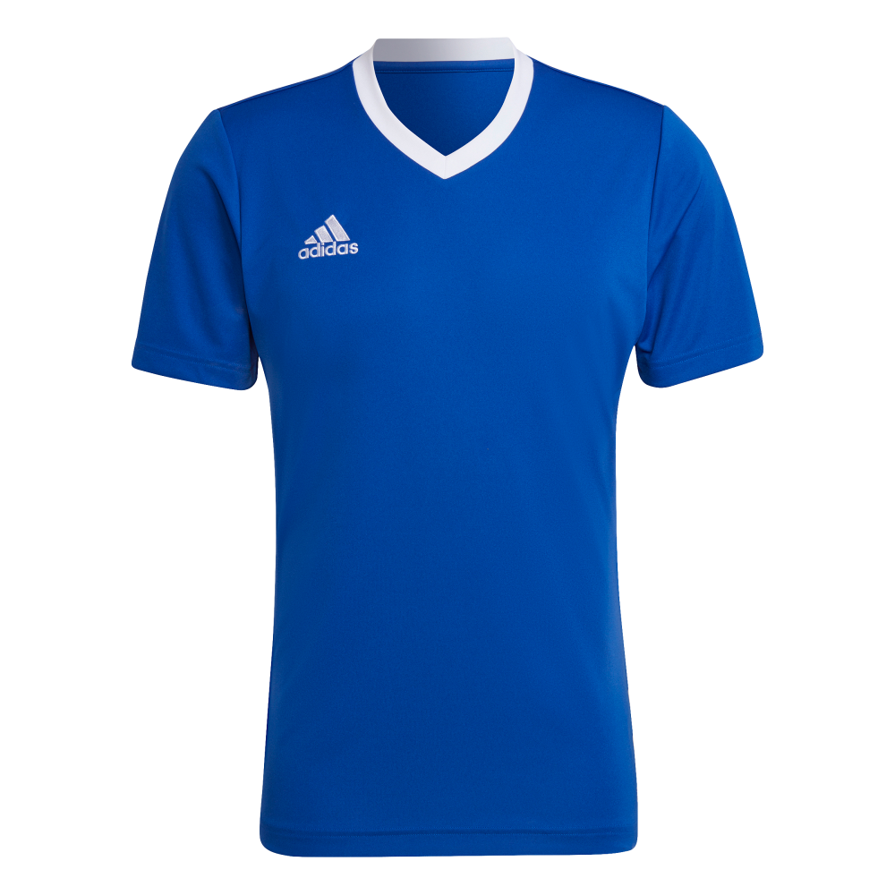 ADIDAS Entrada 22 Trikot Herren (team royal blue) - Front View