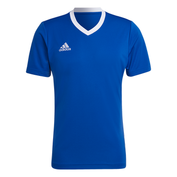 ADIDAS Entrada 22 Trikot Herren (team royal blue) - Front View