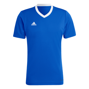 ADIDAS Entrada 22 Trikot Herren (team royal blue) - Front View