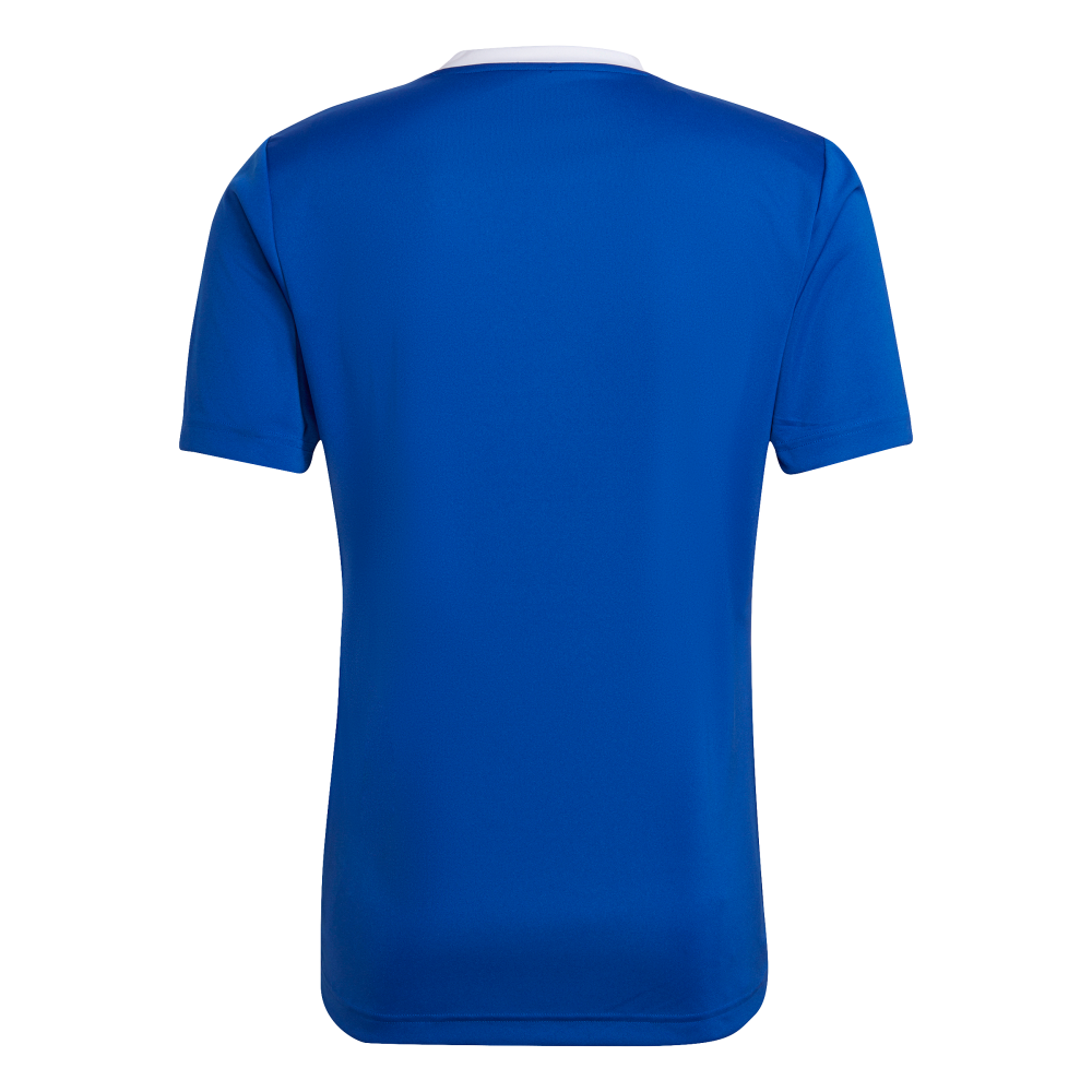 ADIDAS Entrada 22 Trikot Herren (team royal blue) - Back Center View