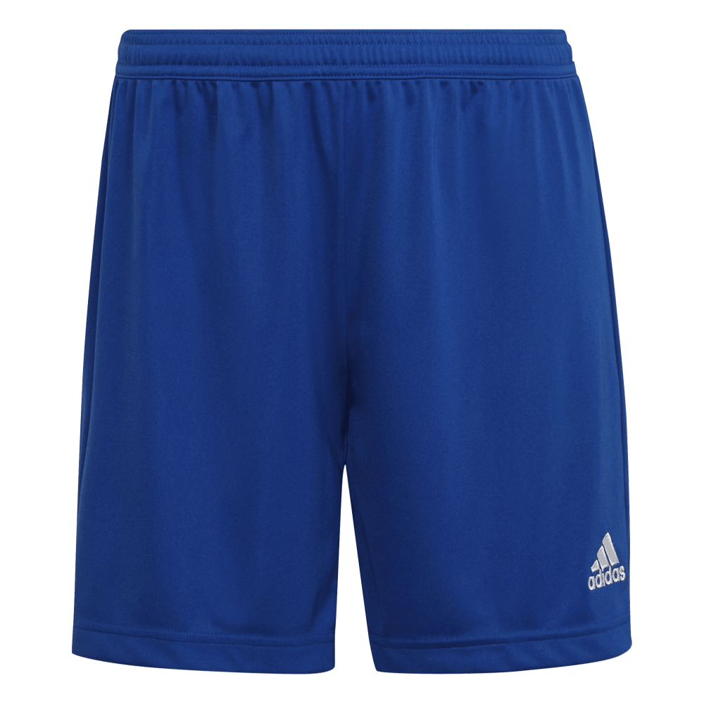 ADIDAS Entrada 22 Shorts Damen (team royal blue) - Front View