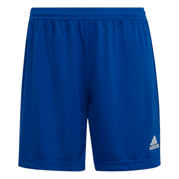 ADIDAS Entrada 22 Shorts Damen (team royal blue) - Front View