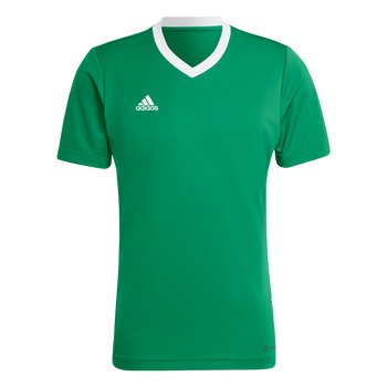 ADIDAS Entrada 22 Trikot Herren (team green/white) - Front View