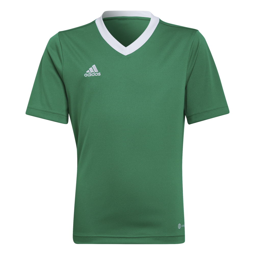 ADIDAS Entrada 22 Trikot Kind (team green/white) - Front View