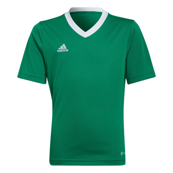 ADIDAS Entrada 22 Trikot Kind (team green/white) - Front View