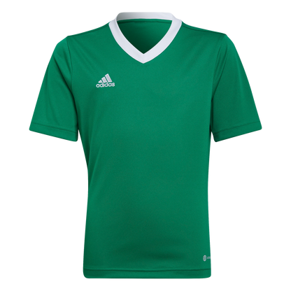 ADIDAS Entrada 22 Trikot Kind (team green/white) - Front View