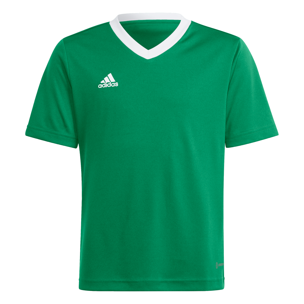ADIDAS Entrada 22 Trikot Kind (team green/white) - Front View