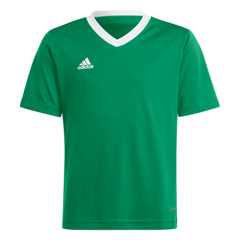 ADIDAS Entrada 22 Trikot Kind (team green/white) - Front View