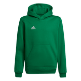 ADIDAS Entrada 22 Sweat Hoodie Kind (team green/white) - Front View