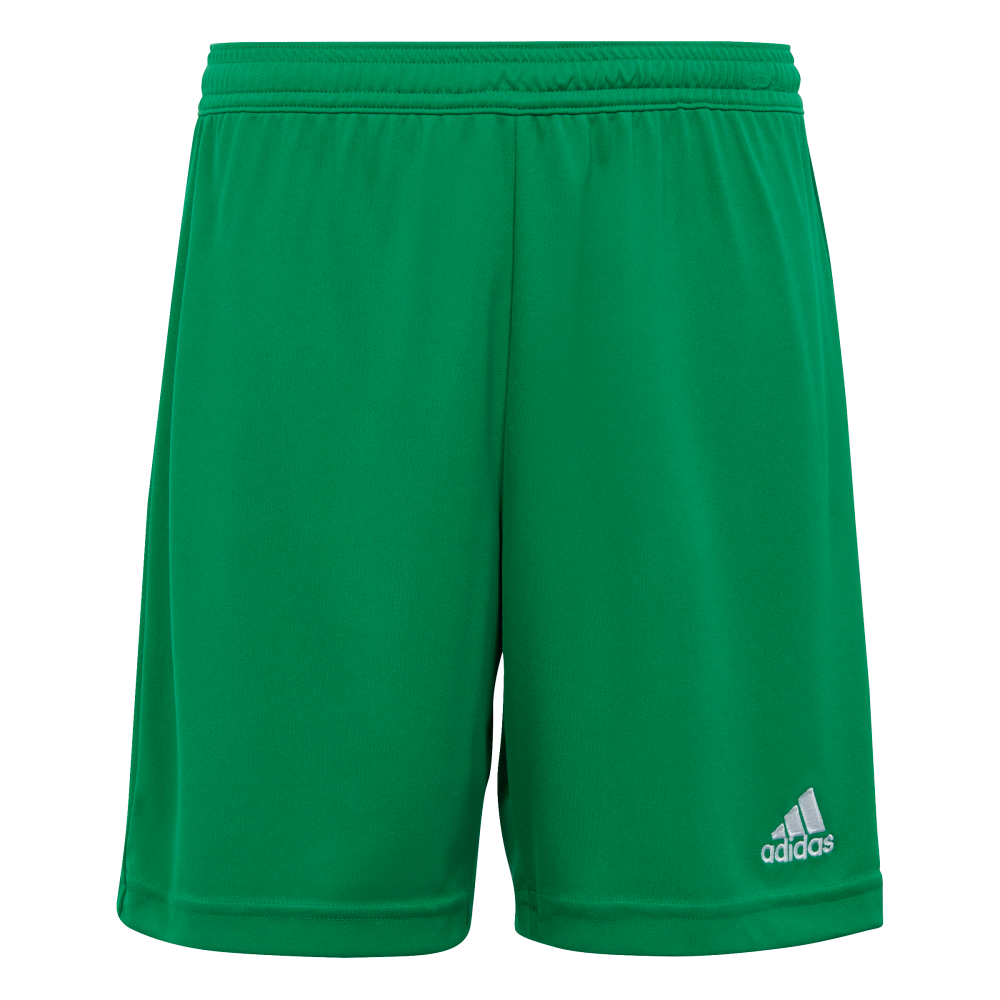ADIDAS Entrada 22 Shorts Kind (team green) - Front View