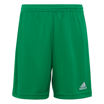 ADIDAS Entrada 22 Shorts Kind (team green) - Front View