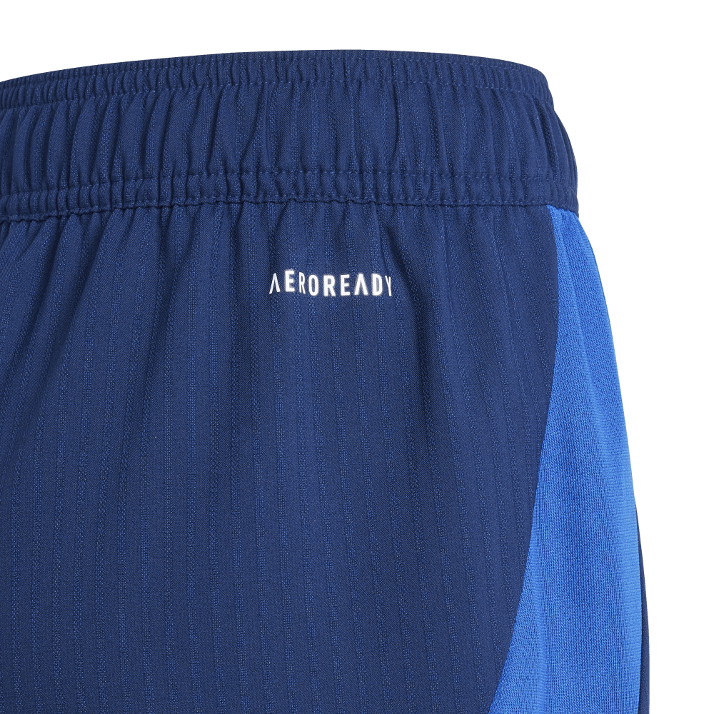 ADIDAS Tiro 24 Competition Match Kids Shorts (team navy blue 2) - Detail View 1