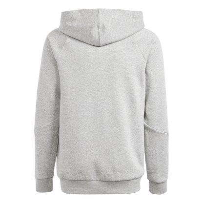 ADIDAS Tiro 24 Kids Sweat Hoodie (medium grey heather/white) - Back Center View