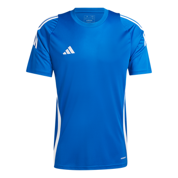 ADIDAS Tiro 24 Trikot Herren (team royal blue/white) - Front View