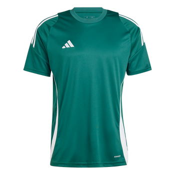 ADIDAS Tiro 24 Trikot Herren (team dark green/white) - Front View