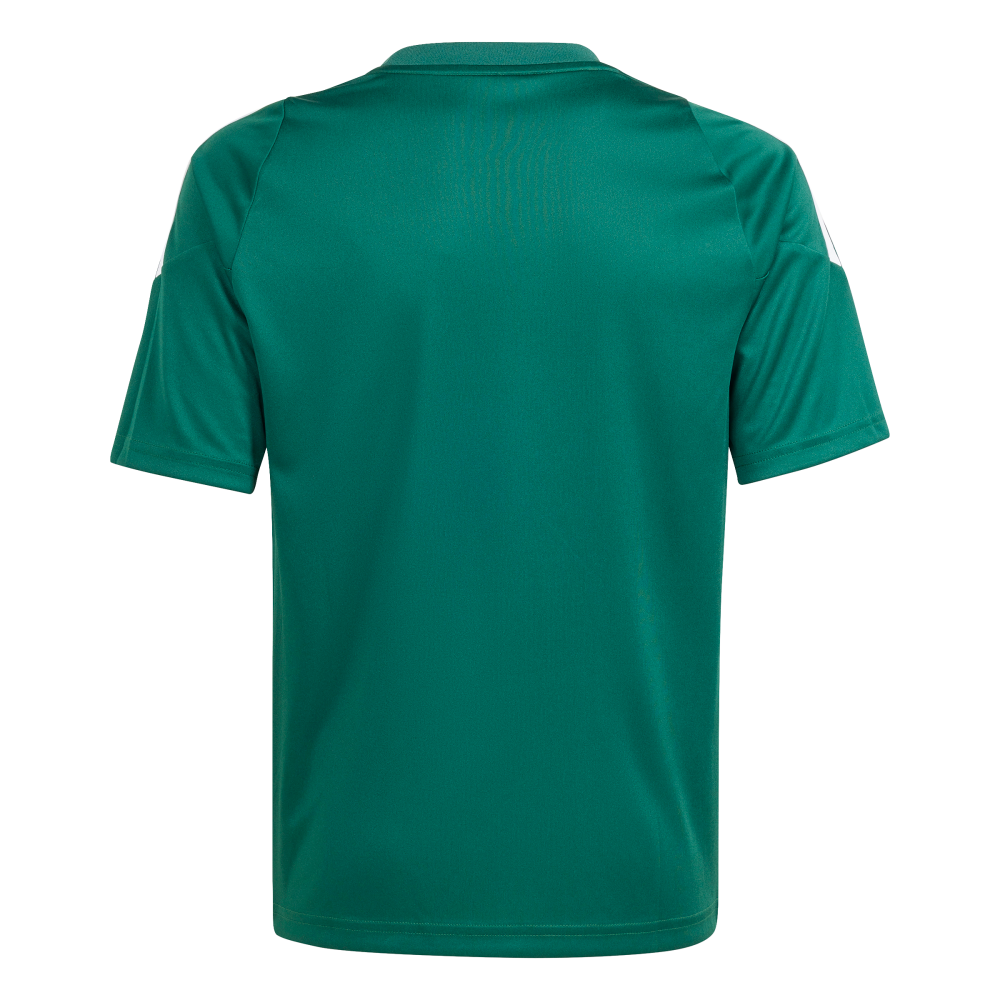 ADIDAS Tiro 24 Kids Trikot (team dark green/white) - Back Center View