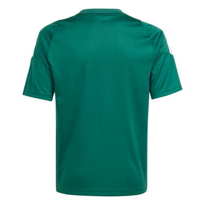 ADIDAS Tiro 24 Kids Trikot (team dark green/white) - Back Center View