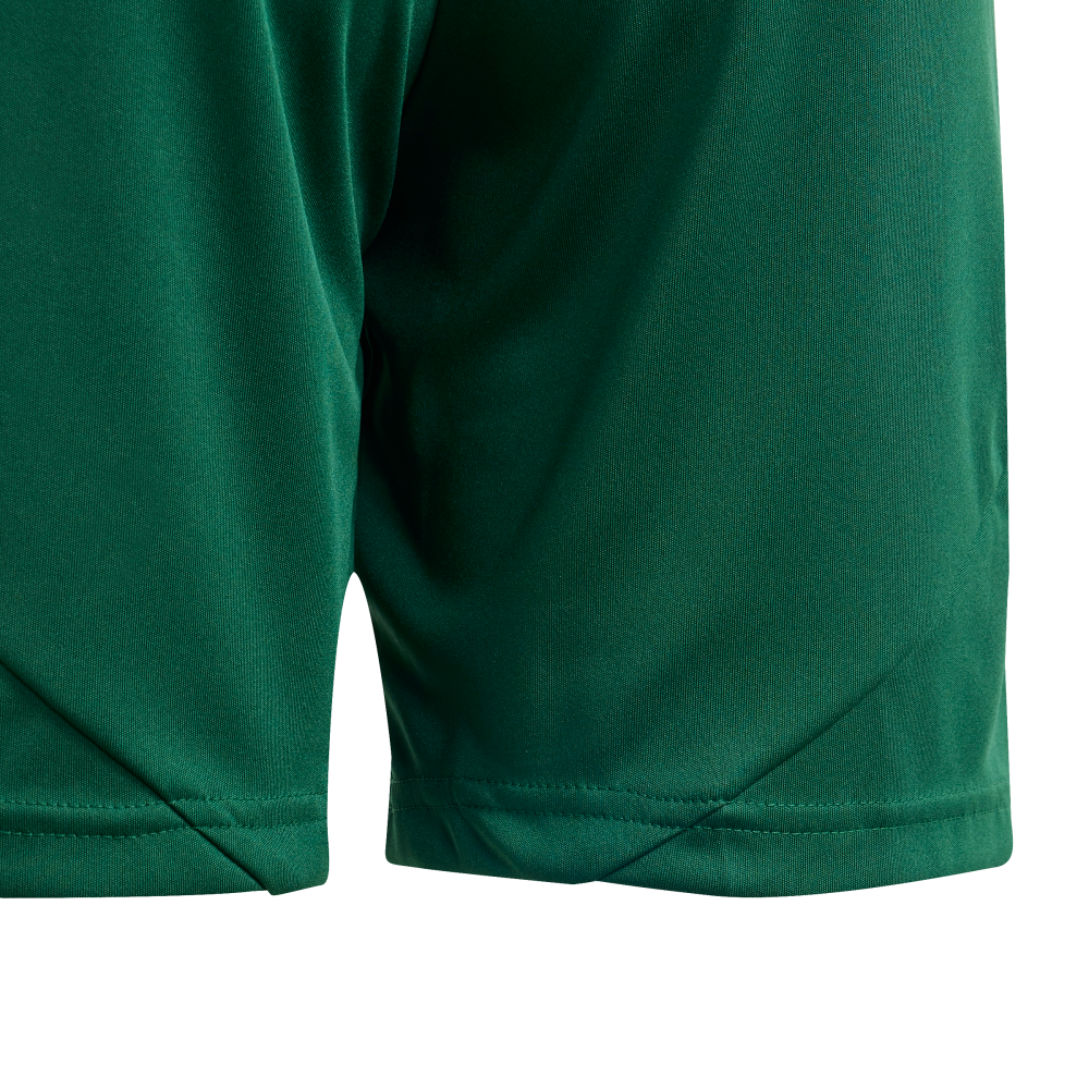 ADIDAS Tiro 24 Kids Shorts (team dark green/white) - Detail View 1