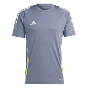 ADIDAS Tiro 24 Trikot Herren (team onix/white/team semi sol yellow) - Front View