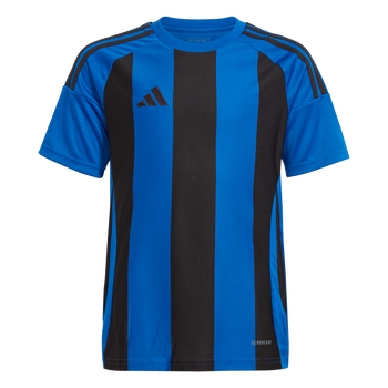 ADIDAS Striped 24 Kids Trikot (team royal blue/black) - Front Center View