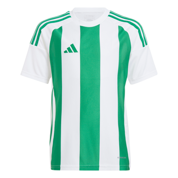 ADIDAS Striped 24 Kids Trikot (white/team green) - Front Center View