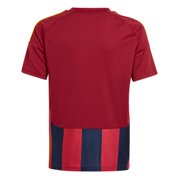 ADIDAS Striped 24 Kids Trikot (team navy blue 2/team coll burgundy 2/team yellow) - Back Center View