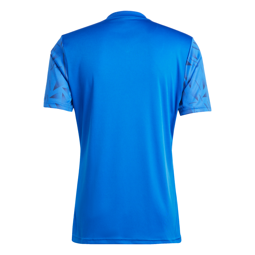 ADIDAS Team Icon 25 Trikot Herren (team royal blue/white) - Back Center View