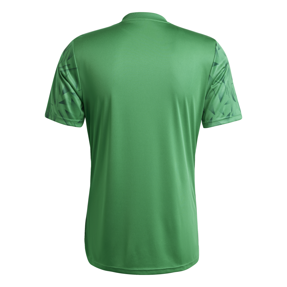 ADIDAS Team Icon 25 Trikot Herren (team green/white) - Back Center View