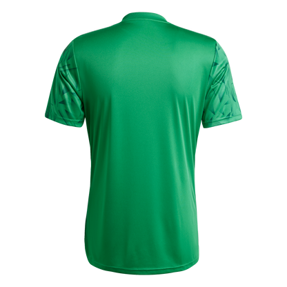 ADIDAS Team Icon 25 Trikot Herren (team green/white) - Back Center View