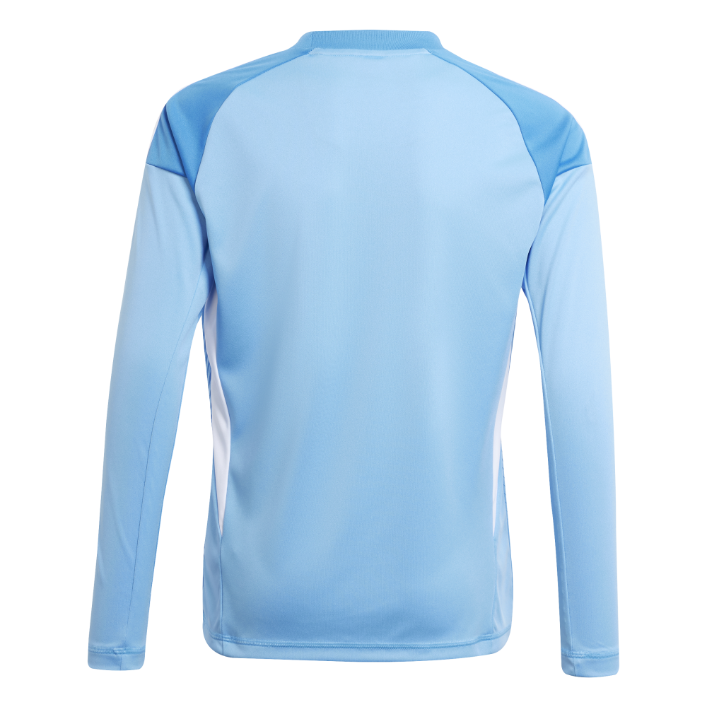 ADIDAS Tiro 25 Competition Kids Long Sleeve Torwarttrikot (blue burst) - Back Center View