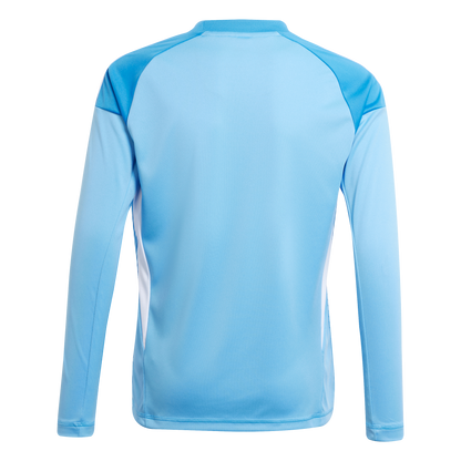 ADIDAS Tiro 25 Competition Kids Long Sleeve Torwarttrikot (blue burst) - Back Center View