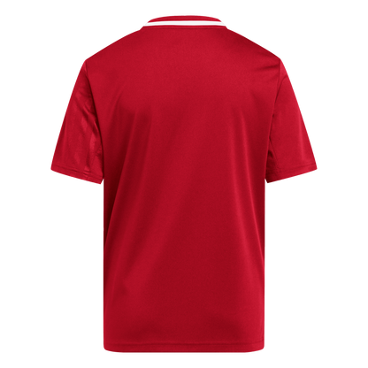 ADIDAS Campeon 25 Kids Trikot (team power red 2/white) - Back Center View