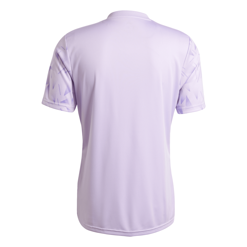 ADIDAS Team Icon 25 Trikot Herren (purple glow/white) - Back Center View