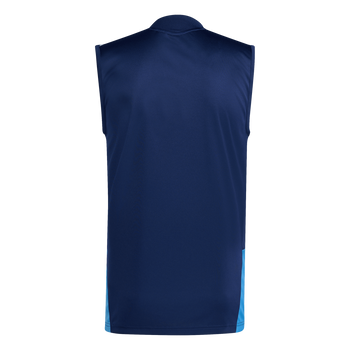 ADIDAS Tiro 26 Competition Trikot, Ärmellos Herren (team navy blue 2/ray blue) - Back Center View