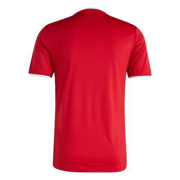 ADIDAS Entrada26 Trikot Herren (team power red 2/white) - Back Center View