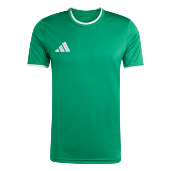 ADIDAS Entrada26 Trikot Herren (team green/white) - Front Center View