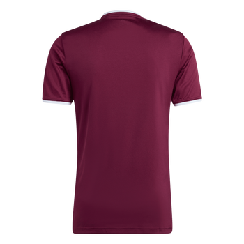 ADIDAS Entrada26 Trikot Herren (team maroon 2/white) - Back Center View